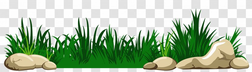 Download Clip Art - Commodity - Grass With Rocks Transparent Clipart Transparent PNG