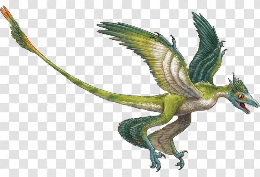 Microraptor Velociraptor Triceratops Rahonavis Deinonychus - Organism - Gliding Transparent PNG