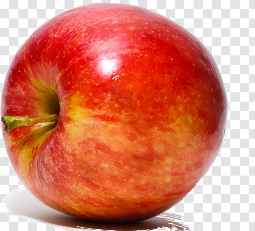 Crisp Apple Fruit Tutti Frutti Vegetable - Sweetness Transparent PNG