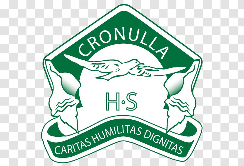 Cronulla High School Education National Secondary Cronulla-Sutherland Sharks - Scientist Transparent PNG