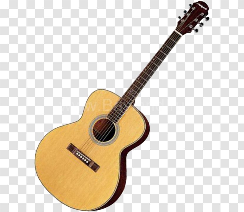Acoustic-electric Guitar Steel-string Acoustic Dreadnought - Tree Transparent PNG