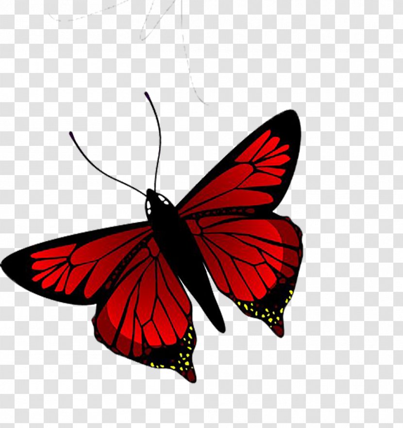 Butterfly Illustration - Watercolor Painting - Red Transparent PNG