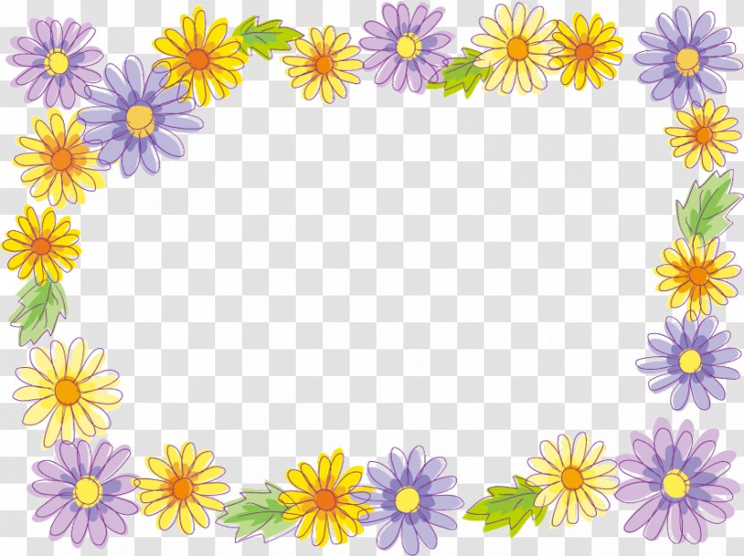 Flower Photography Illustration - Free Software - Colored Floral Background Transparent PNG