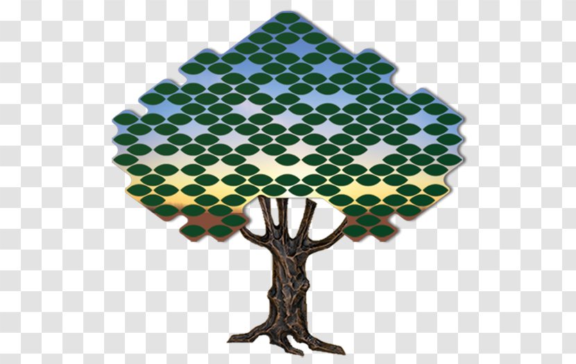 Tree Donor Recognition Wall Donation Leaf Futura Transparent PNG