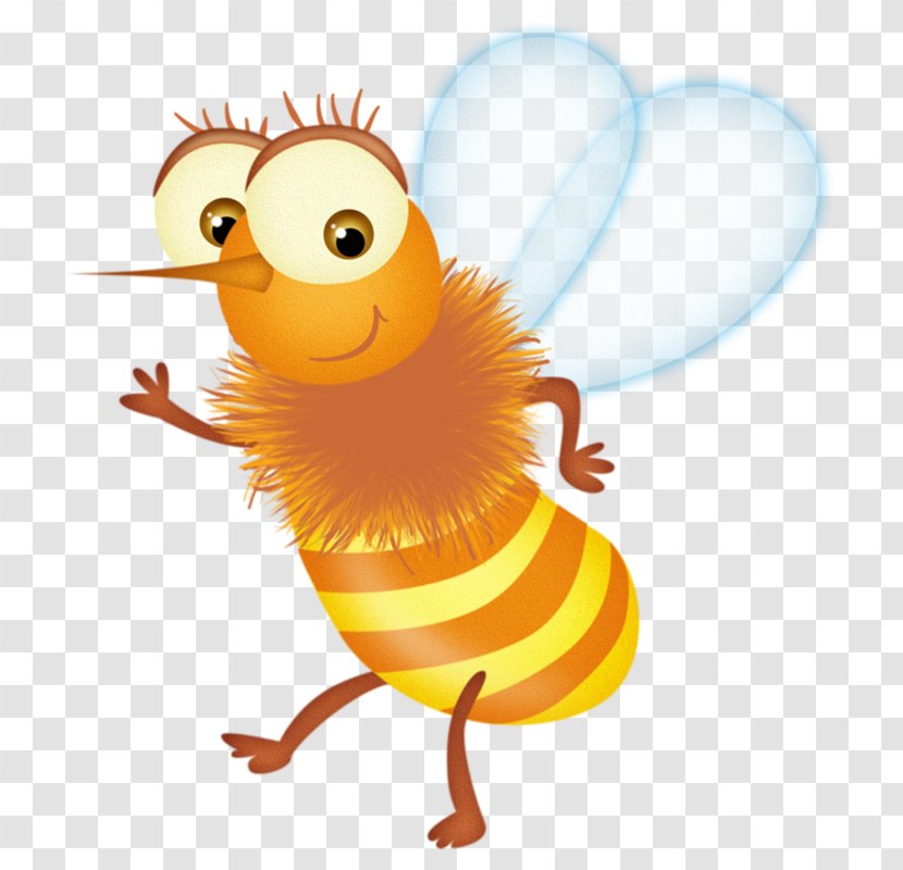 Bee Insect Apis Florea Illustration - Cartoon Transparent PNG