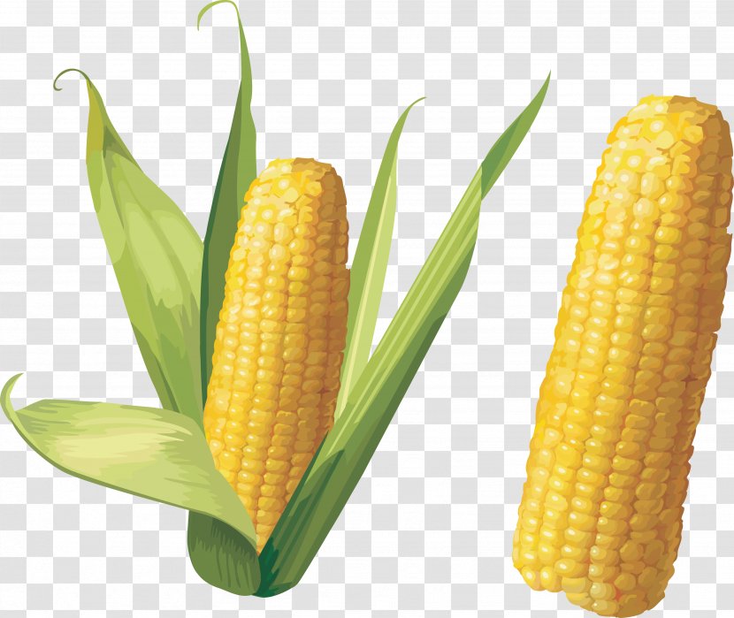 Corn On The Cob Maize Clip Art - Food Grain - Image Transparent PNG