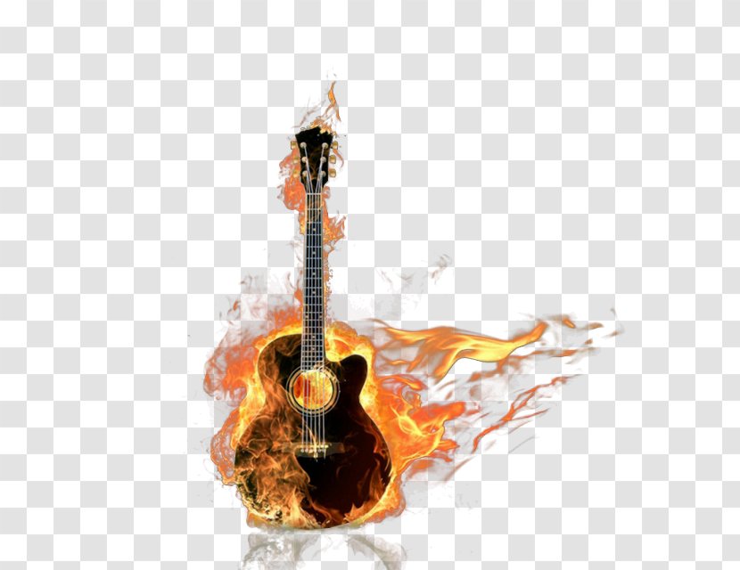 Bass Guitar Acoustic - Cartoon Transparent PNG