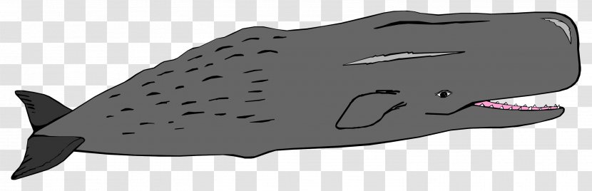 Anglerfish Child Drawing - Animal - Fish Transparent PNG