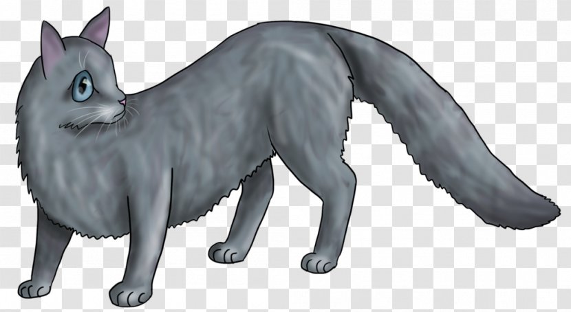 Whiskers Red Fox Gray Wolf Cat Fur - Wildlife Transparent PNG