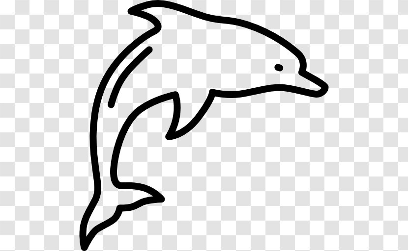 DOLPHIN VECTOR - Artwork - Dolphin Transparent PNG
