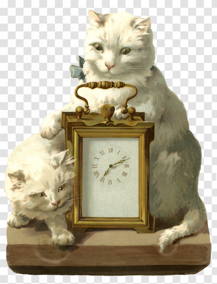 Whiskers Domestic Short-haired Cat Clock Transparent PNG