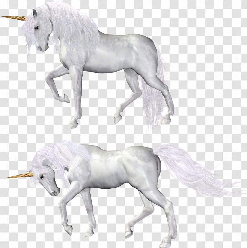 Bad Unicorn Clip Art Image - Digital Transparent PNG