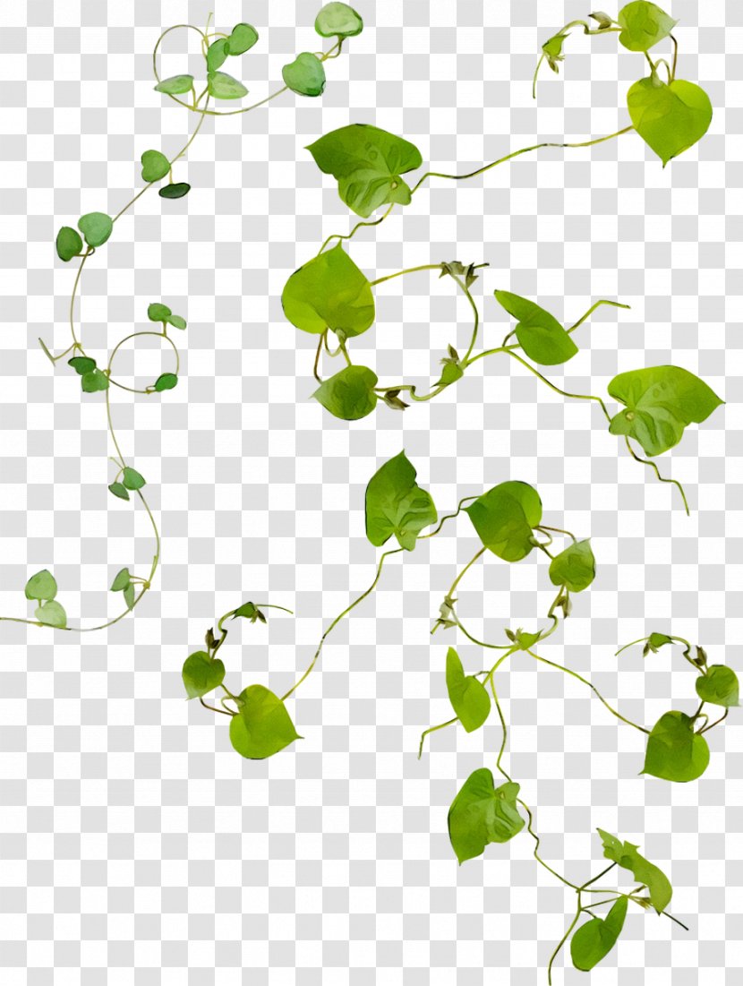 Flower Plant Stem Green Leaf Clip Art Transparent PNG