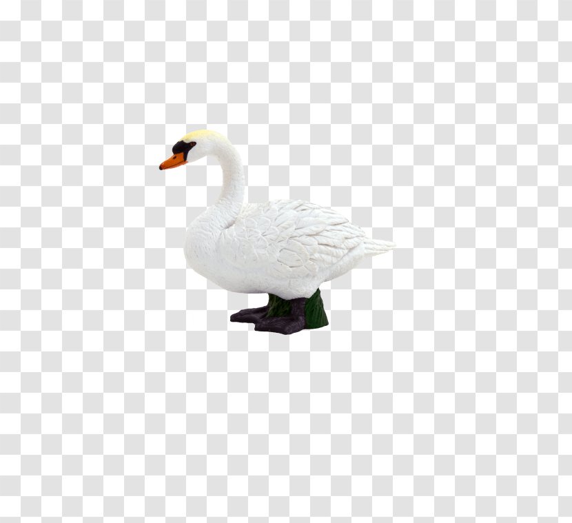 Mute Swan Pony Toy Goose Horse - Water Bird Transparent PNG