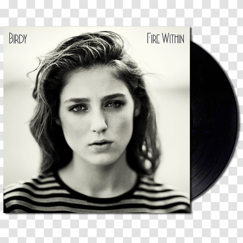 Birdy Fire Within Album Phonograph Record Songwriter - Tree - Cartoon Transparent PNG