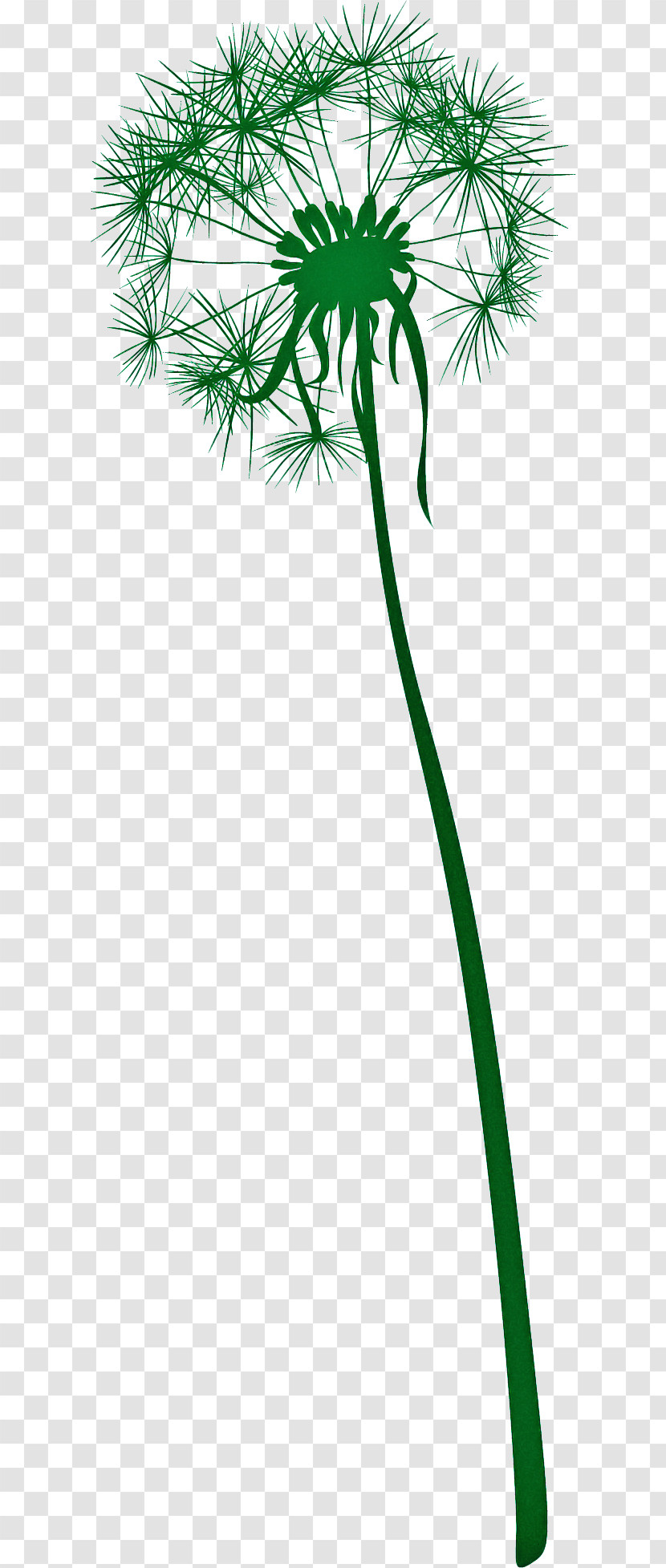 Dandelion Transparent PNG