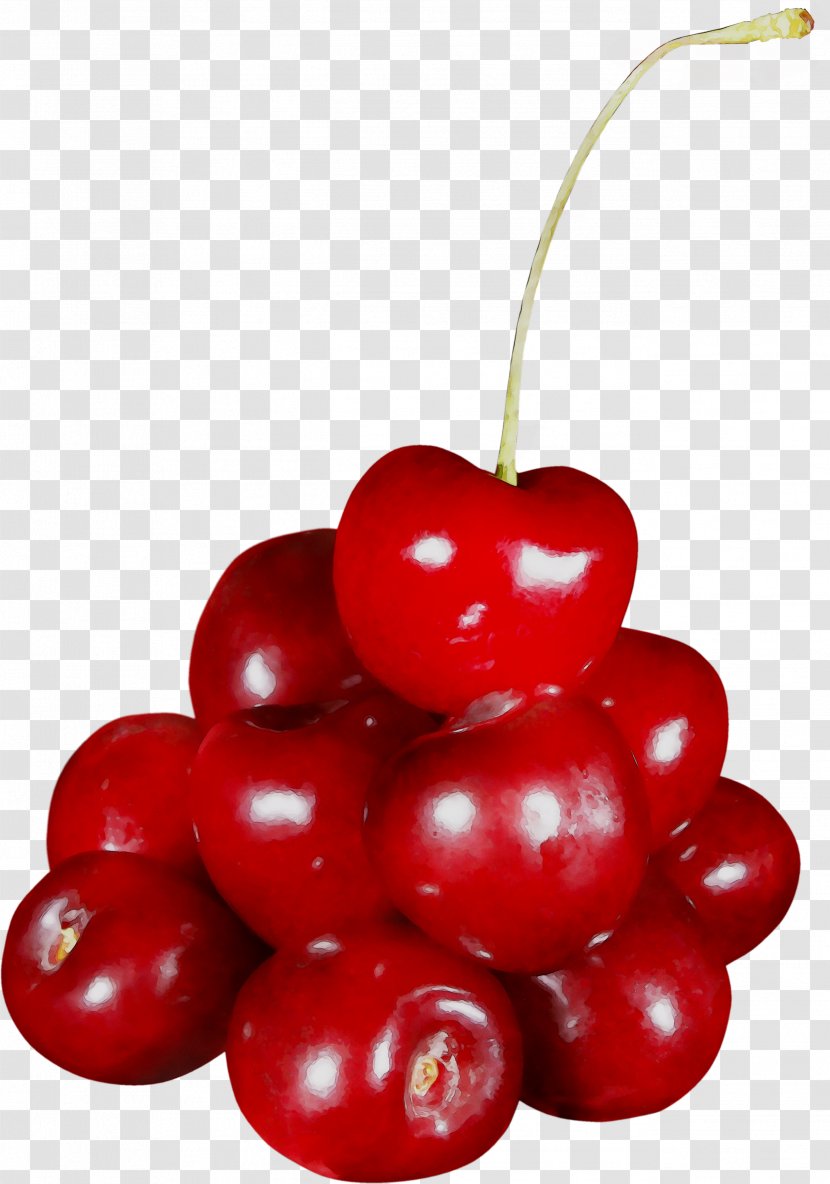 Cherries Clip Art Image Transparency - Lingonberry - Superfruit Transparent PNG