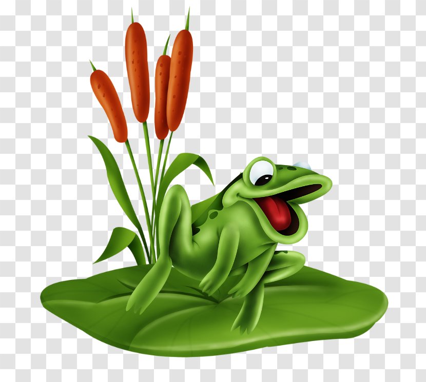 Tree Frog Humour Clip Art - Organism Transparent PNG