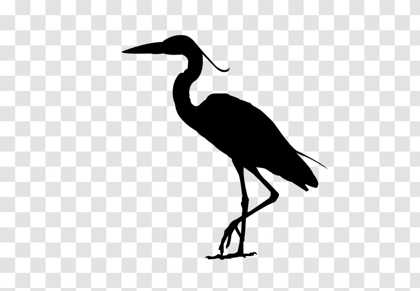 Ibis Water Bird Stork Beak - Shorebird - Neck Transparent PNG