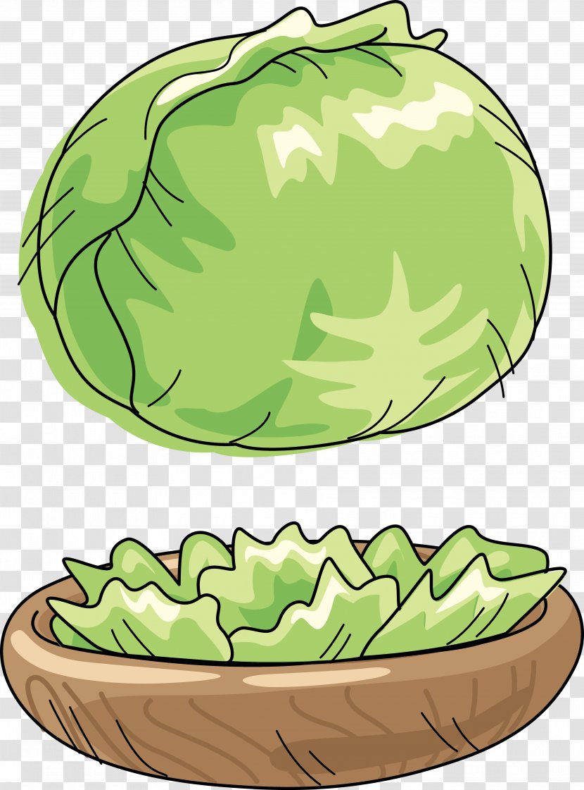 Cabbage Watermelon Vegetable Cartoon Clip Art - Stir Frying - Green Transparent PNG