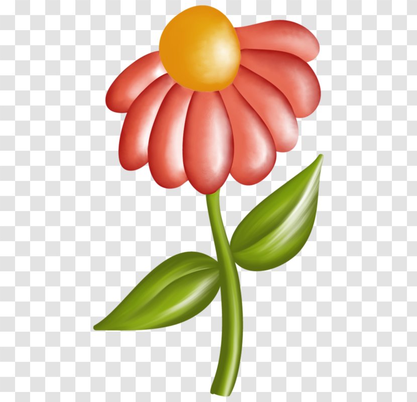 Lily Flower Cartoon - Family Wildflower Transparent PNG