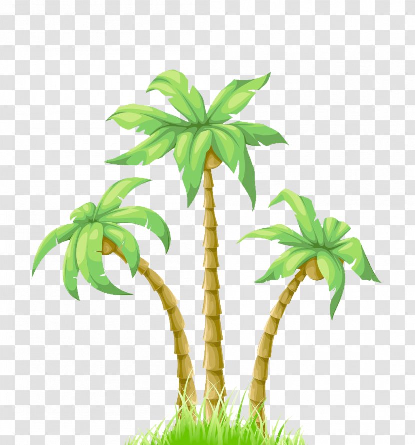Cartoon Poster Coconut - Palm Tree - Summer Illustration Transparent PNG