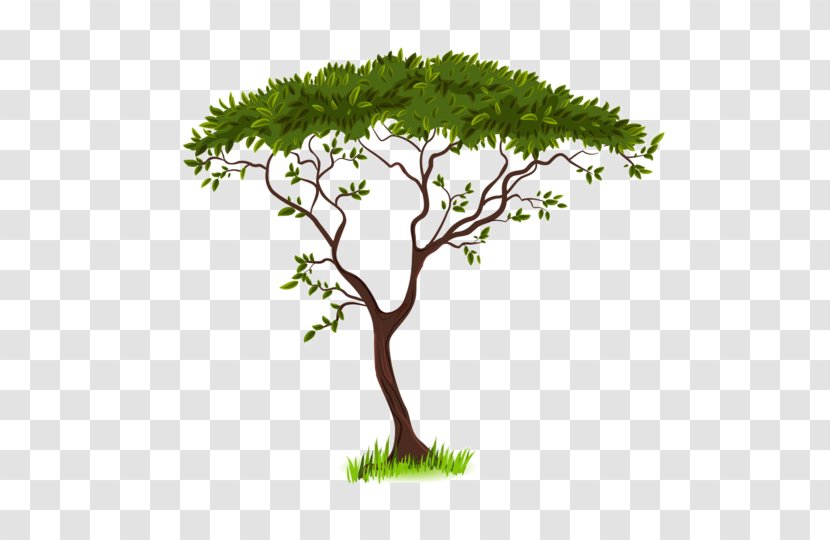 Savanna Silhouette Clip Art - Plant Stem - World Tree Transparent PNG