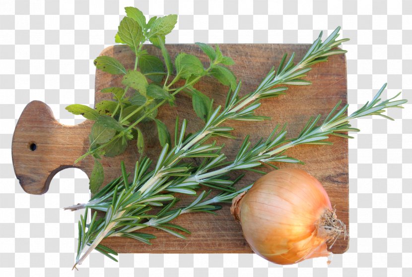 Rosemary Spice Herb Onion - Grass - Herbs Transparent PNG