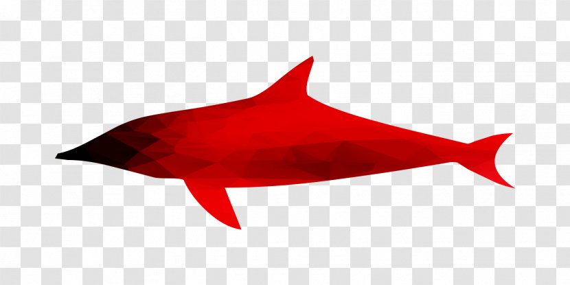 Shark Marine Biology Dolphin RED.M - Fish Transparent PNG
