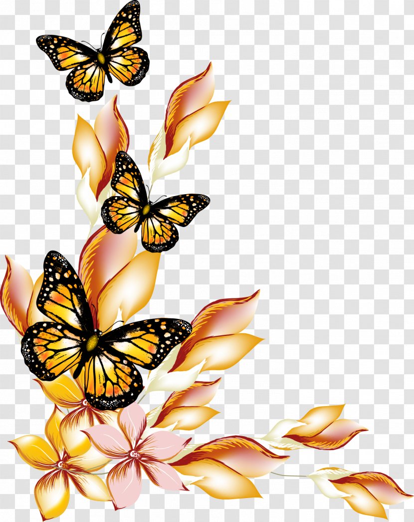 Butterfly Flower - Pattern - Flowers And Butterflies Borders Vector Transparent PNG