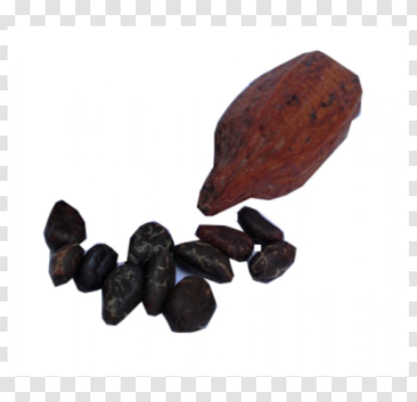 Cocoa Bean Commodity Theobroma Cacao - Nuts Seeds Transparent PNG
