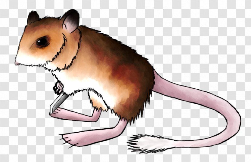Gerbil Hamster Kangaroo Mouse Rat Dormouse - Television Transparent PNG