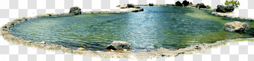 Cemetery Berita Duka Pond - Swimming Pool - Park View Transparent PNG