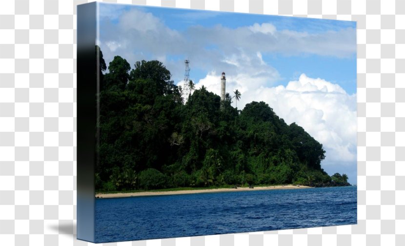Water Resources Inlet Loch Tree Tourism - Sky Plc Transparent PNG