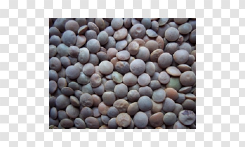 Seed - Material - Green Lentils Transparent PNG