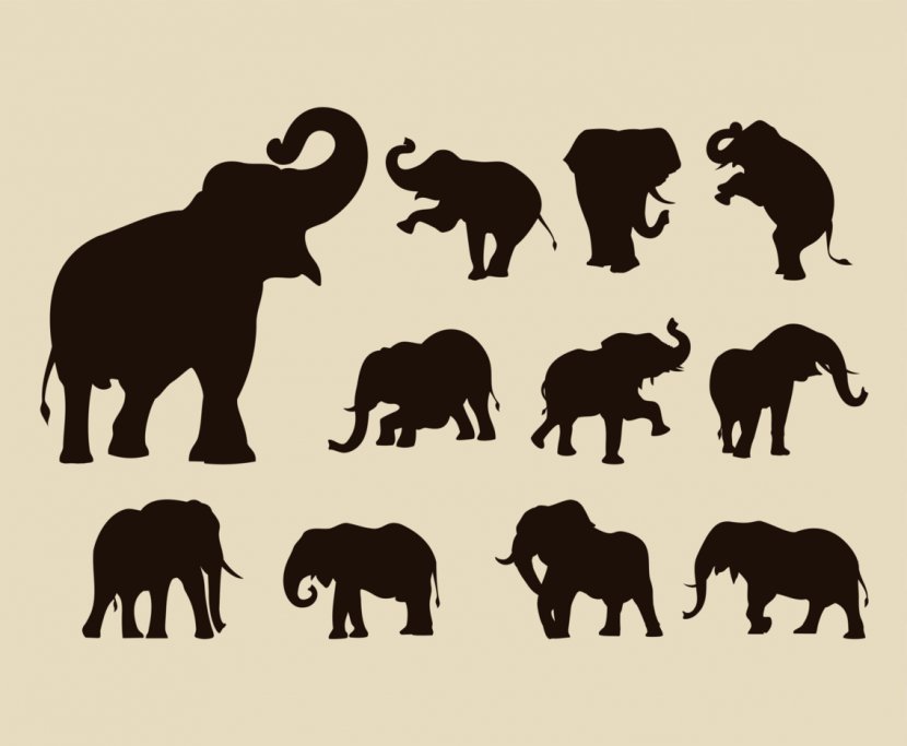 African Elephant Indian Silhouette - Rhino Transparent PNG