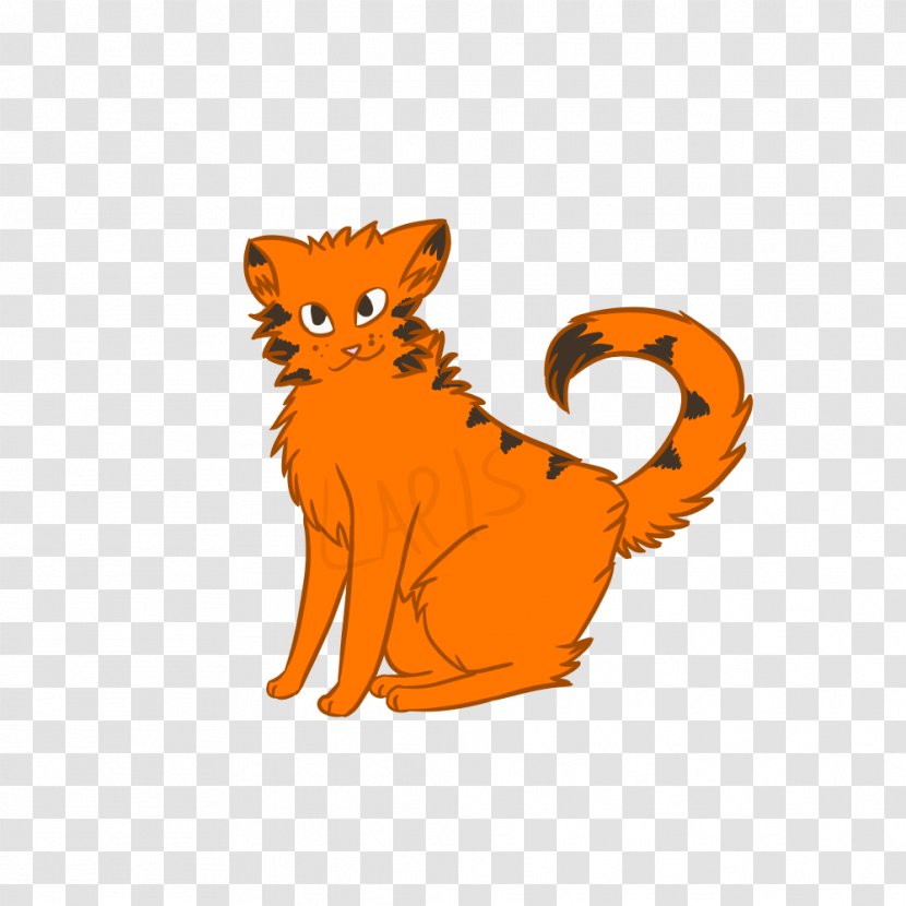 Whiskers Kitten Red Fox Cat Dog - Carnivoran Transparent PNG