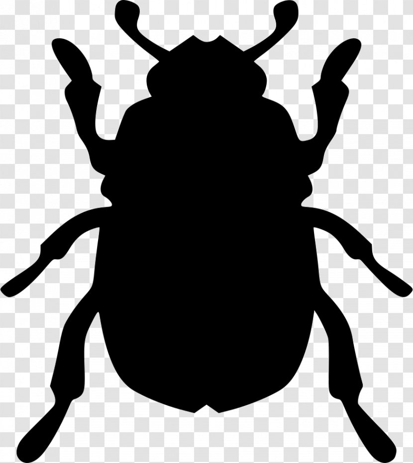 Beetle Biology Clip Art - Organism Transparent PNG