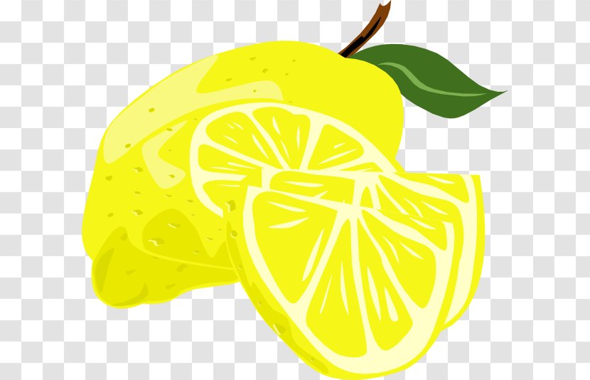 Lemon Citron Citrus Junos Clip Art - Drawing Transparent PNG