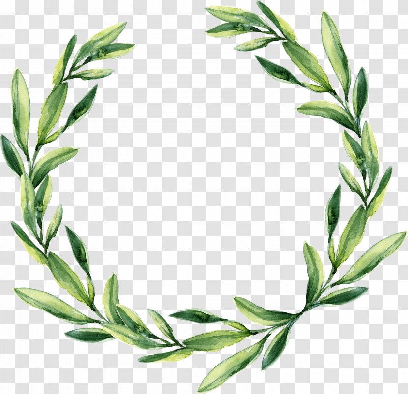 Wreath Wedding Watercolor Painting Calligraphy Gift - Grass - Green Leaf Garland Transparent PNG