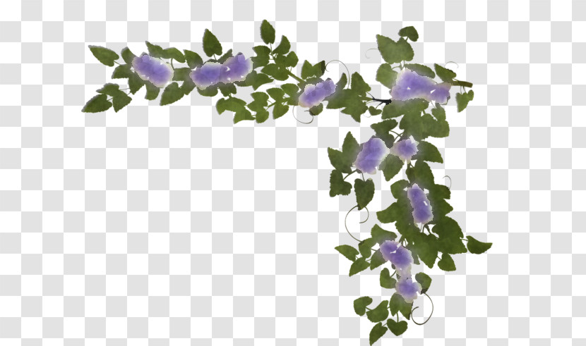 Lavender Transparent PNG