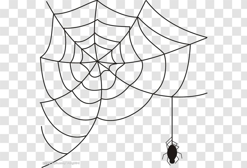 Spider Web Clip Art - Monochrome Photography Transparent PNG