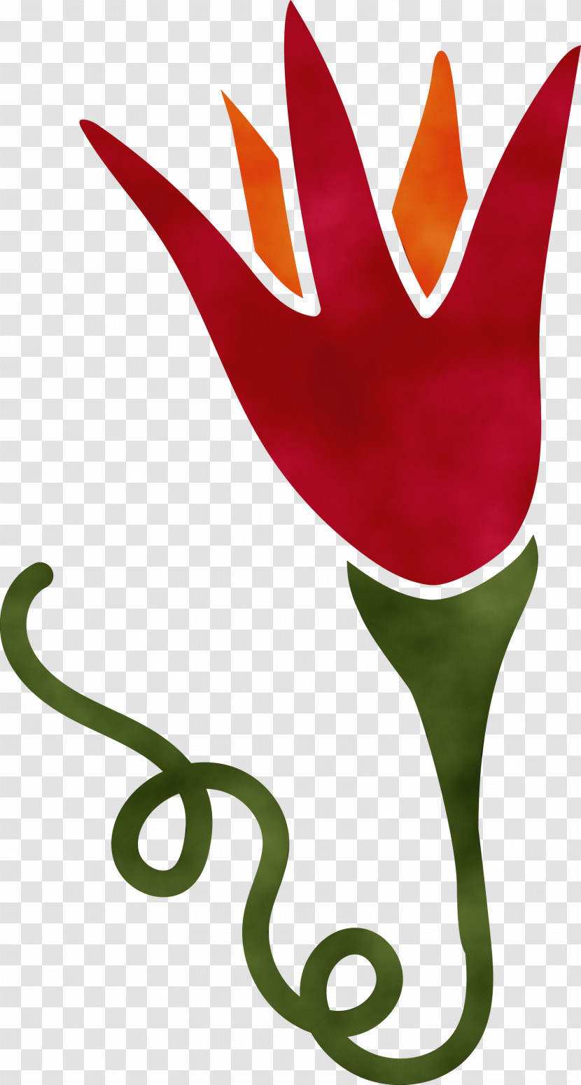Plant Stem Tulip Leaf Petal Character Transparent PNG