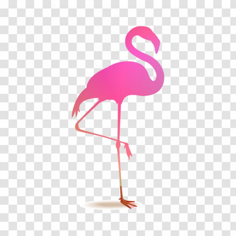 Flamingo Royalty-free - Depositphotos - Flamingos Transparent PNG