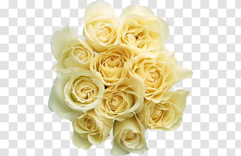 Rose White Flower Bouquet - Floristry - Roses Transparent PNG