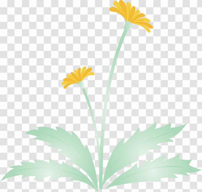 Dandelion Flower Easter Day Flower Spring Flower Transparent PNG