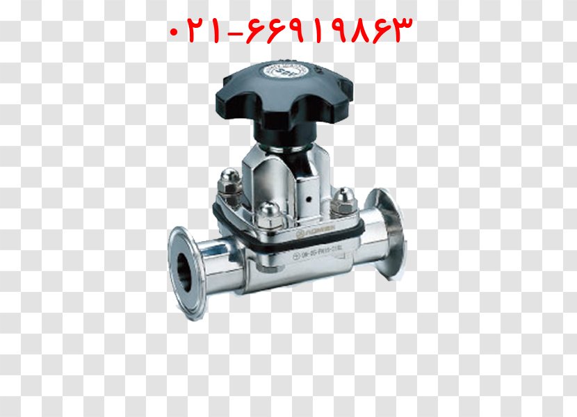 Diaphragm Valve Ball Stainless Steel Piping And Plumbing Fitting - Sampling - OMB Valves Transparent PNG