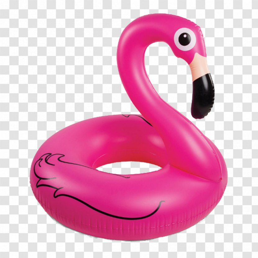 Swimming Pools Swim Ring Inflatable Flamingo Water Bird Transparent PNG