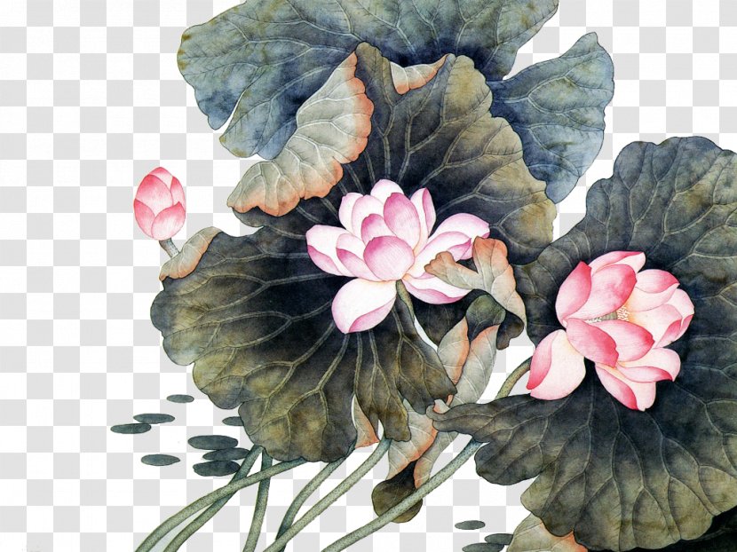 China Flower Chinese Painting Art - Lotus Transparent PNG