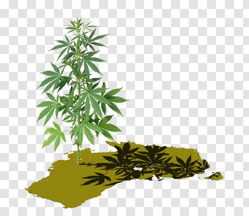 Cannabis Screenshot Painting Graphics 0 - Hemp Transparent PNG